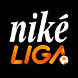 Logo: Slovak Niké Liga